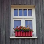 flowers in window box